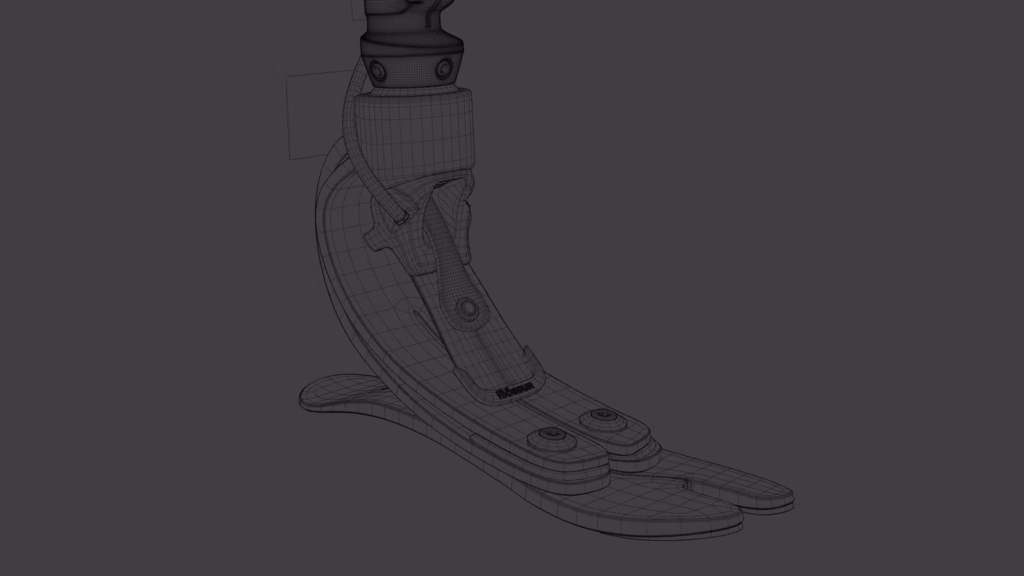 Ossur Pro Flex XC Prosthetic Leg Wireframe Ankle Out Region